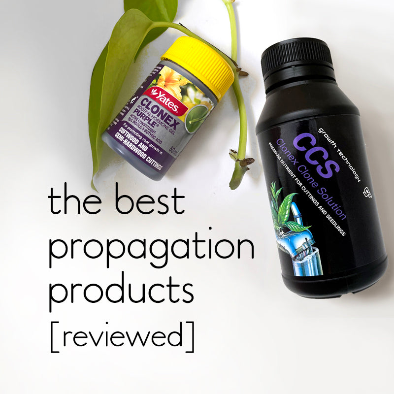 What are the best products for propagating indoor plants? [Reviewed]
