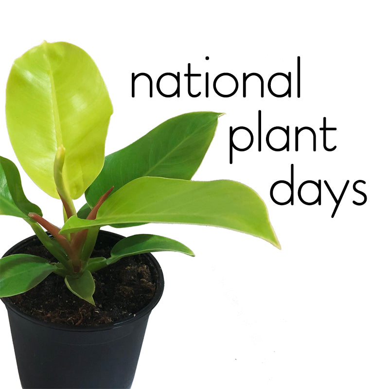 National Plant, Garden & Flower Days