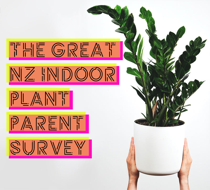 The Secret Life of NZ Indoor Plant Parents