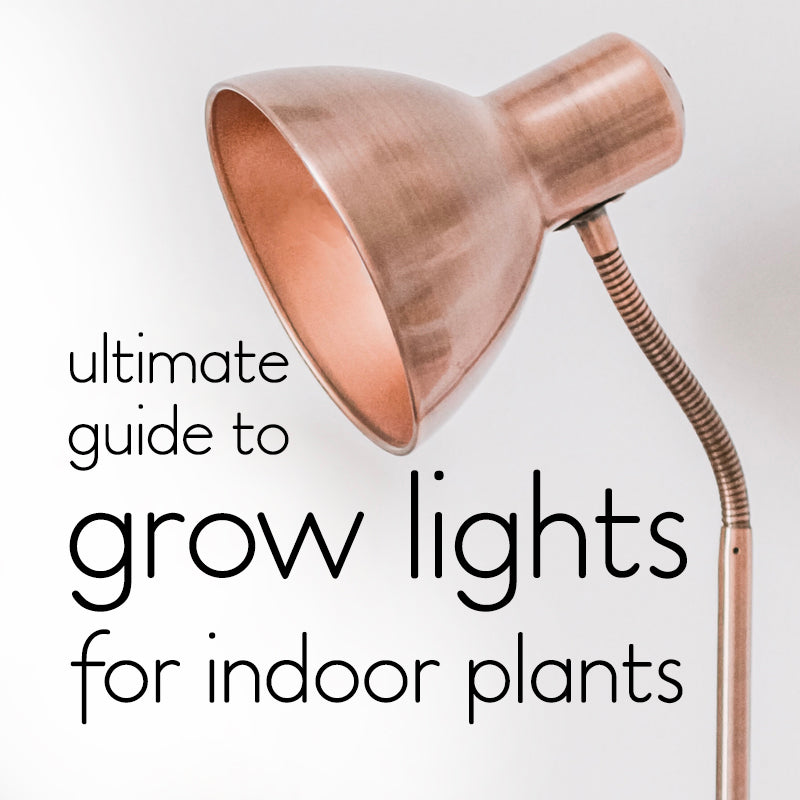 The ultimate guide to choosing grow lights for indoor plants