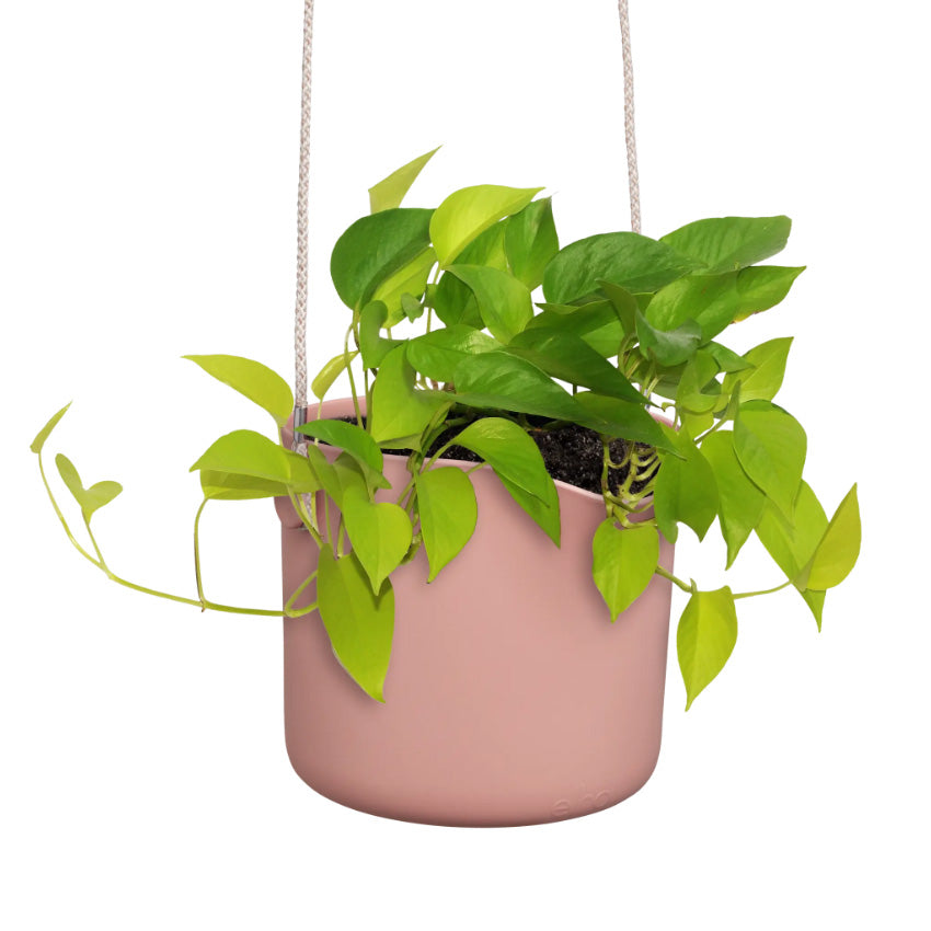 Elho Swing Stackable Hanging Pot - 100% Recycled