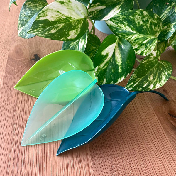 Leaf Watering Funnel SET OF 3 lovethatleaf