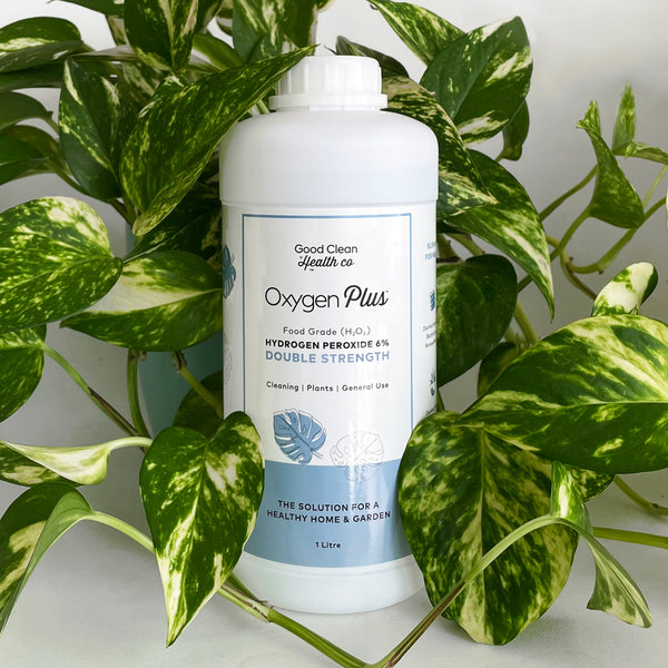 Oxygen Plus For Plants Hydrogen Peroxide 6 DoubleStrength 1 Litre