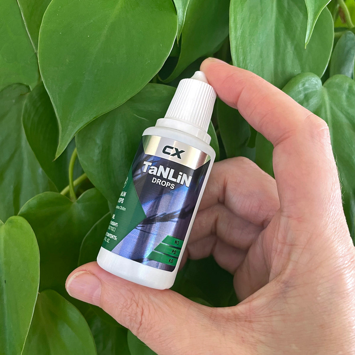 tanlin-fungus-gnat-tyreatment-held-hand