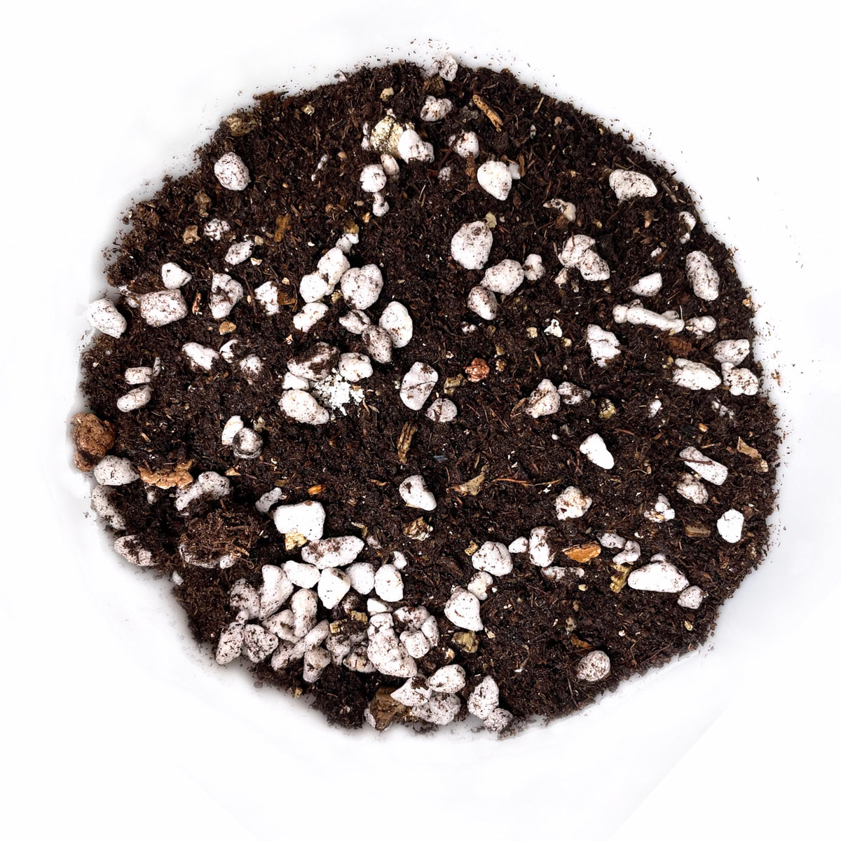 Bio Leaf Potting Mix for MOISTURE LOVERS - African Violets, Peace Lilies, Begonias, Marantas, Ferns - 2 Litre