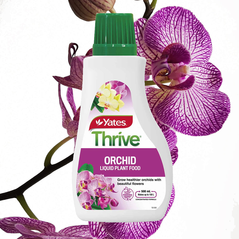 yates thrive indoor plant food Yates Thrive Orchid Liquid Plant Food
