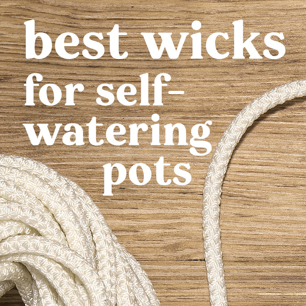best-wicks-for-self-watering-pots-indoor-plants-houseplants-mason-line-nylon-yarn-cotton