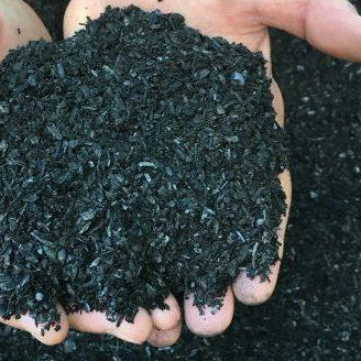 What is biochar and how do you use charcoal for indoor plants?