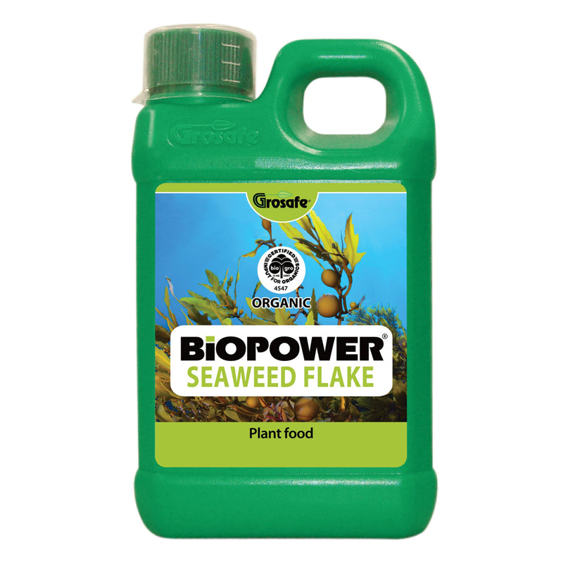 BioPower Seaweed directions for indoor plants