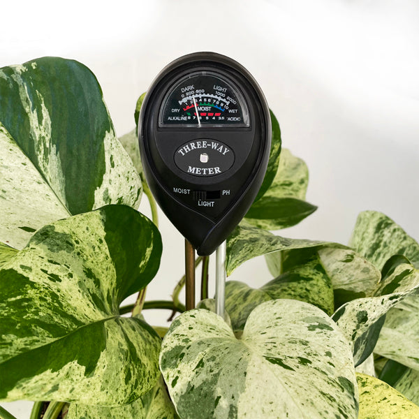 Indoor plant moisture meter deals
