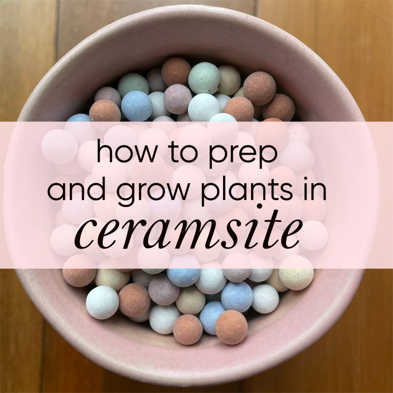 How to use Ceramsite for indoor plants