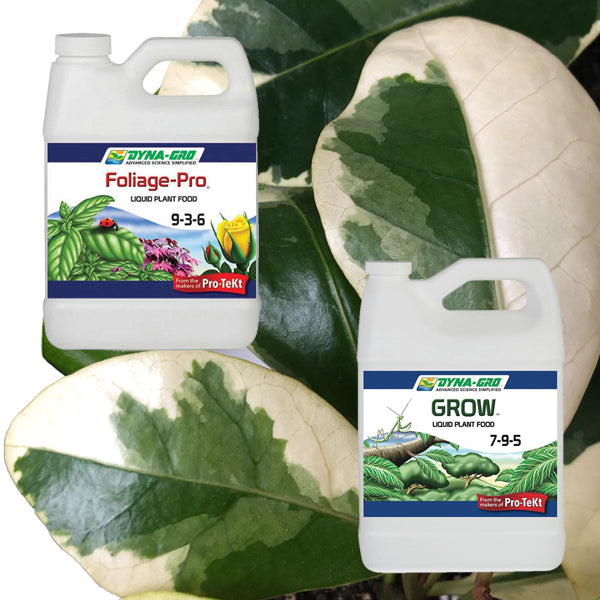 bottole difference between dyno gro foliage pro and dyna gro grow plant food bottles