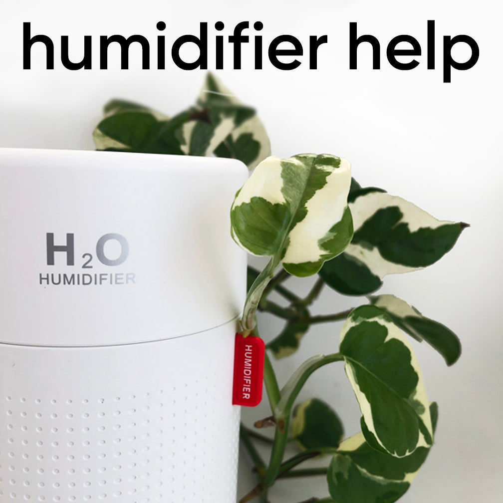 Humidifier Trouble-Shooting, Care, Maintenance and Problem Solving