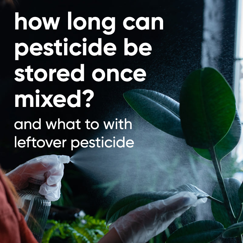 leftover-pesticide-store-safely-dispose