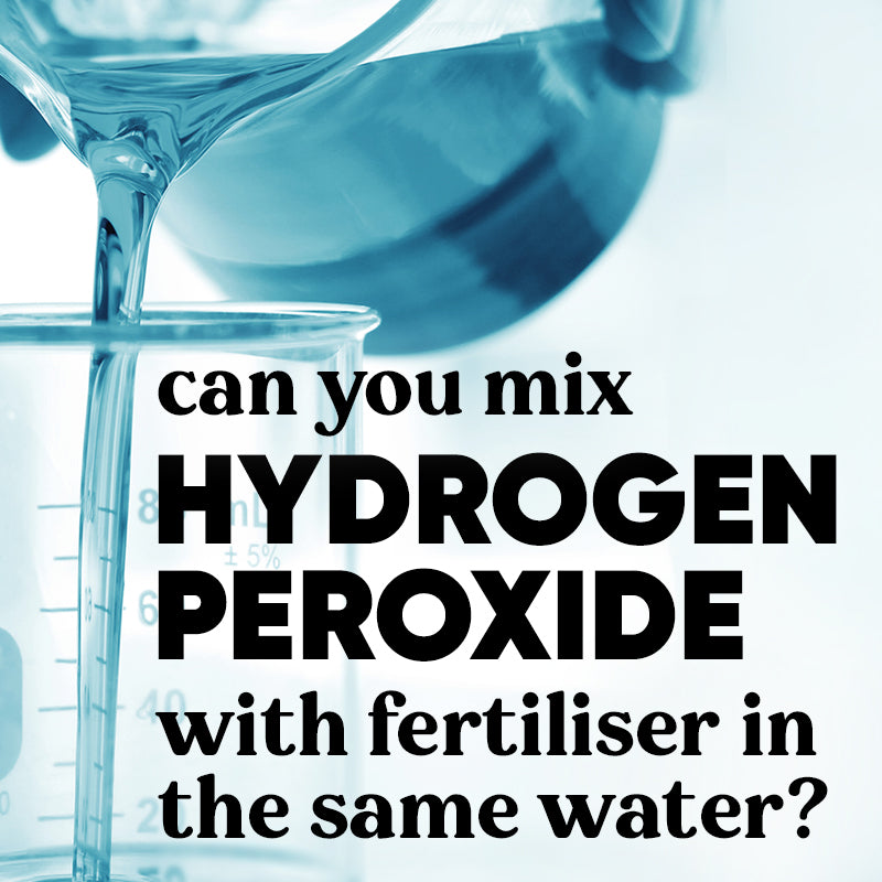 safe-ok-mix-hydrogen-peroxide-with-fertiliser-nutrients-plants-same-water