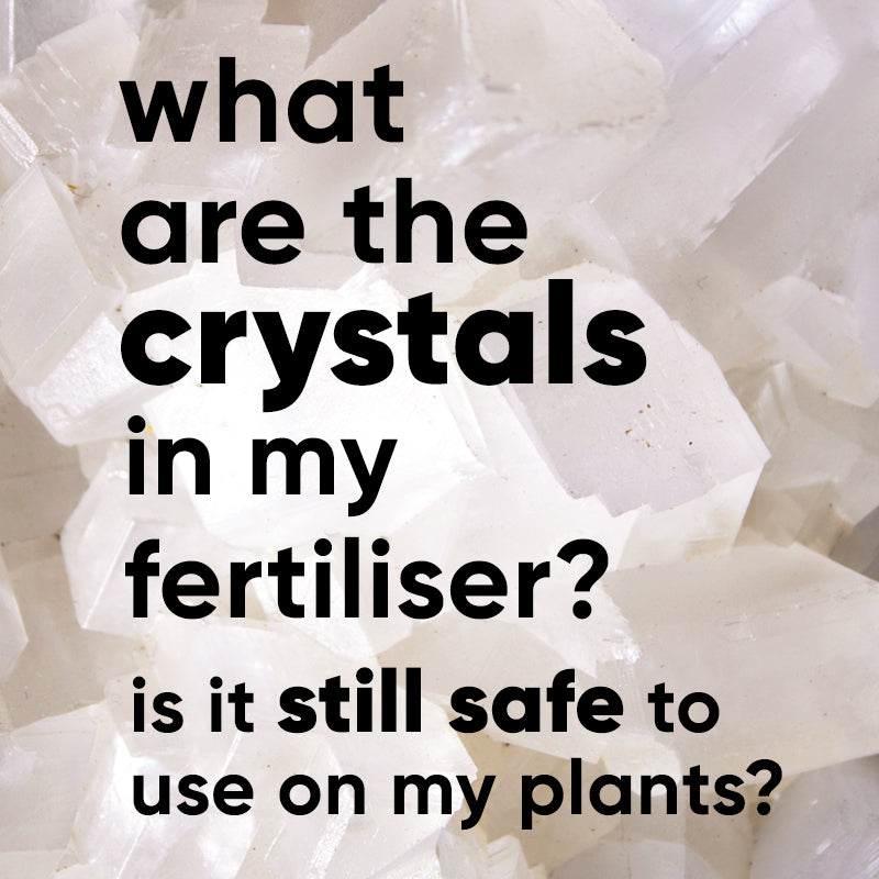 why-what-crystals-lumps-sediment-plant-fertiliser
