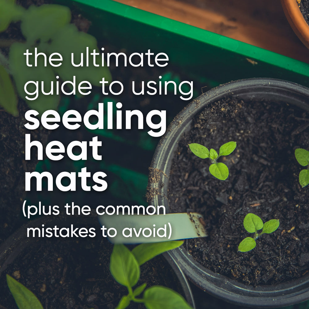 how-to-use-seedling-heat-mat-mistakes