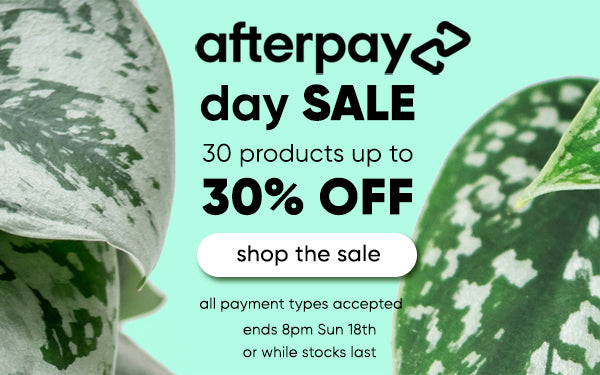 Afterpay Day Sale