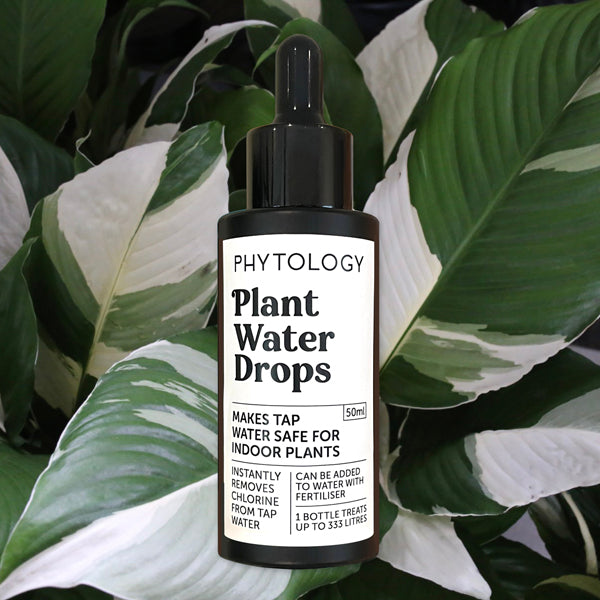 Plant Market Deals