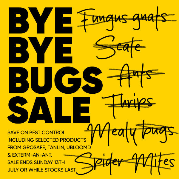 Bye Bye Bugs