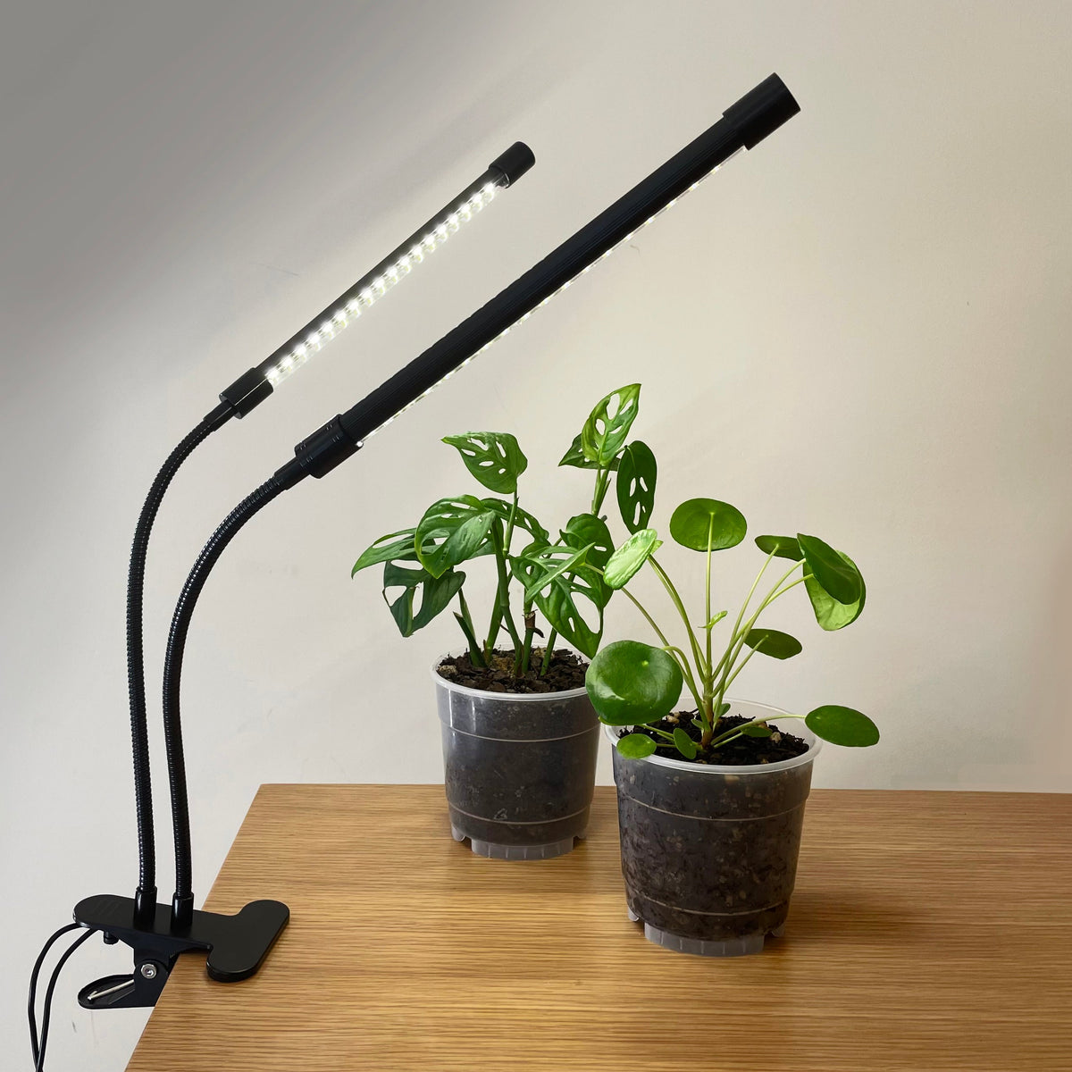 Grow Wand