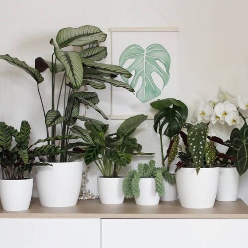 ELHO & MORE COVER POTS