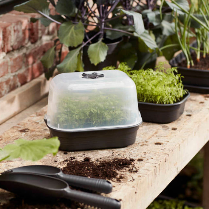 GROW HOUSES, GREENHOUSES & TERRARIUMS