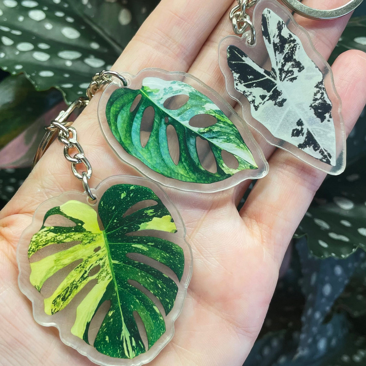 Free Gifts for June