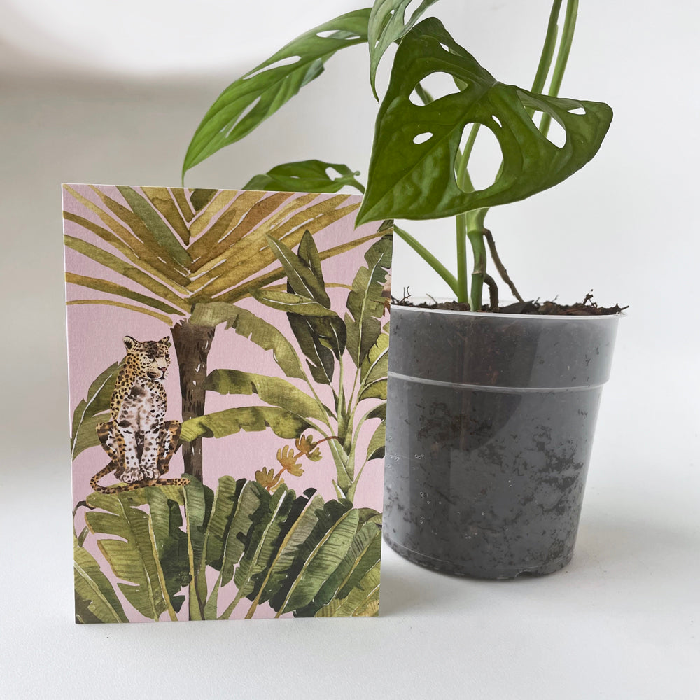 INK BOMB PLANT GREETING CARDS