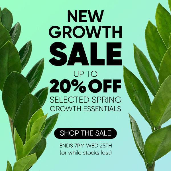 New Growth Sale