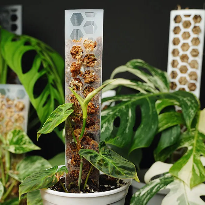 CANOPY GROW POLES