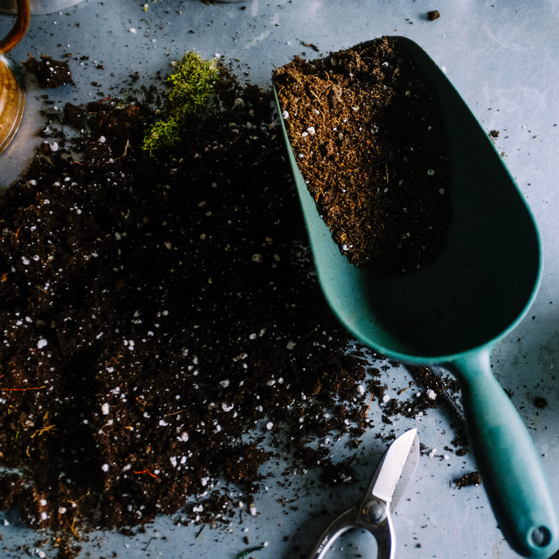POTTING MIX, SOIL & SUBSTRATES