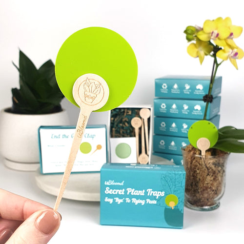 uBloomd Green Sticky Traps ROUND - 30 Pack