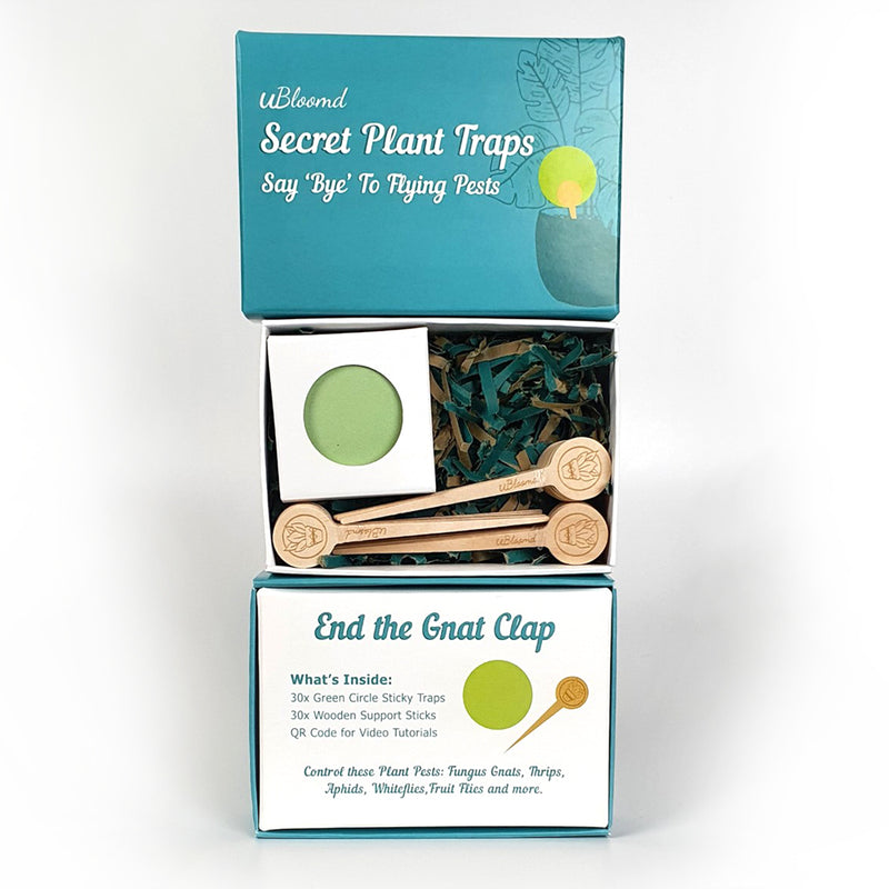 uBloomd Green Sticky Traps ROUND - 30 Pack