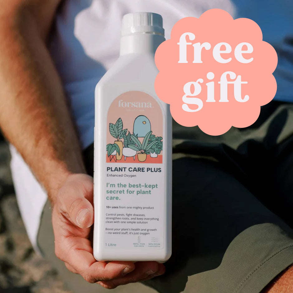 *FREE GIFT* Forsana Plant Care Plus - Hydrogen Peroxide 3% - 1 Litre