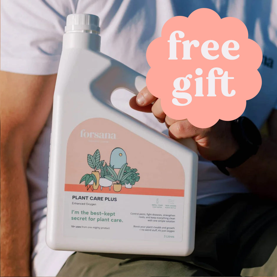 *FREE GIFT* Forsana Plant Care Plus - Hydrogen Peroxide 3% - 3 Litre