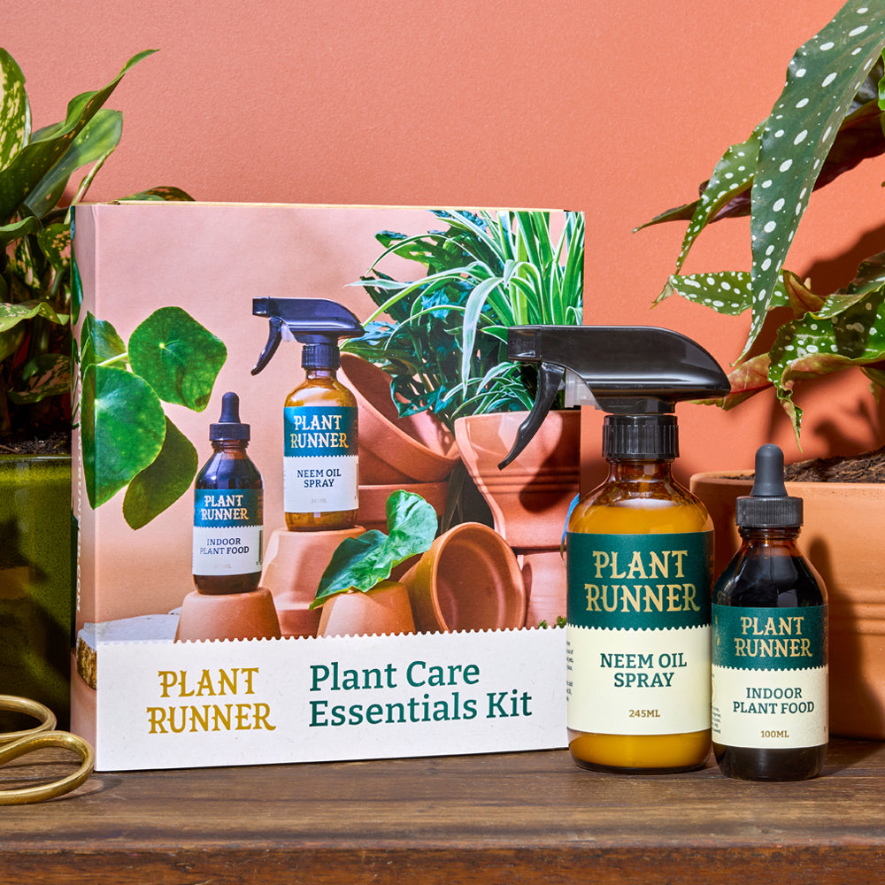 plant-runner-indoor-plant-care-essentials-gift-kit-houseplants-food-fertliser-neem-leaf-shine