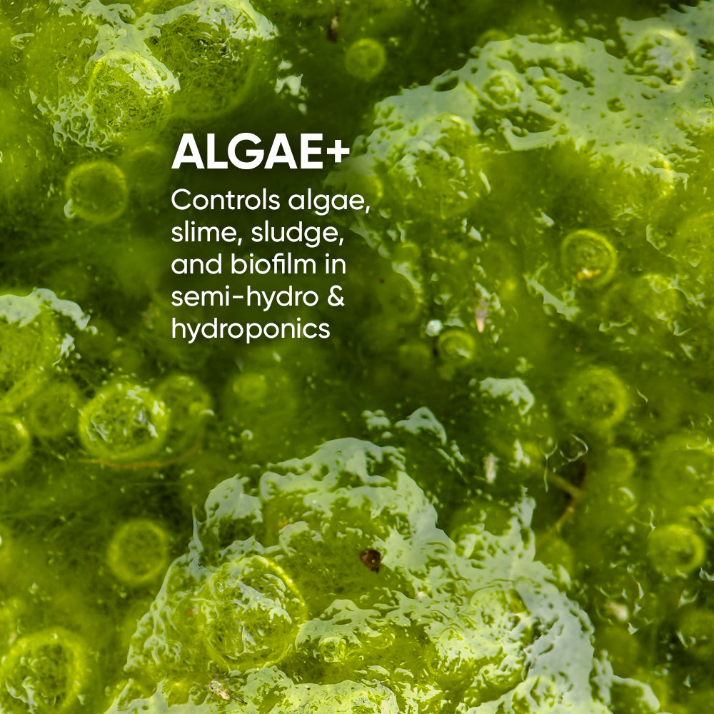 algae-biofilm-spores-treatment-hydroponics-soil-semihydro-oxy-3%-hydrogen-peroxide-gt-growth-technology
