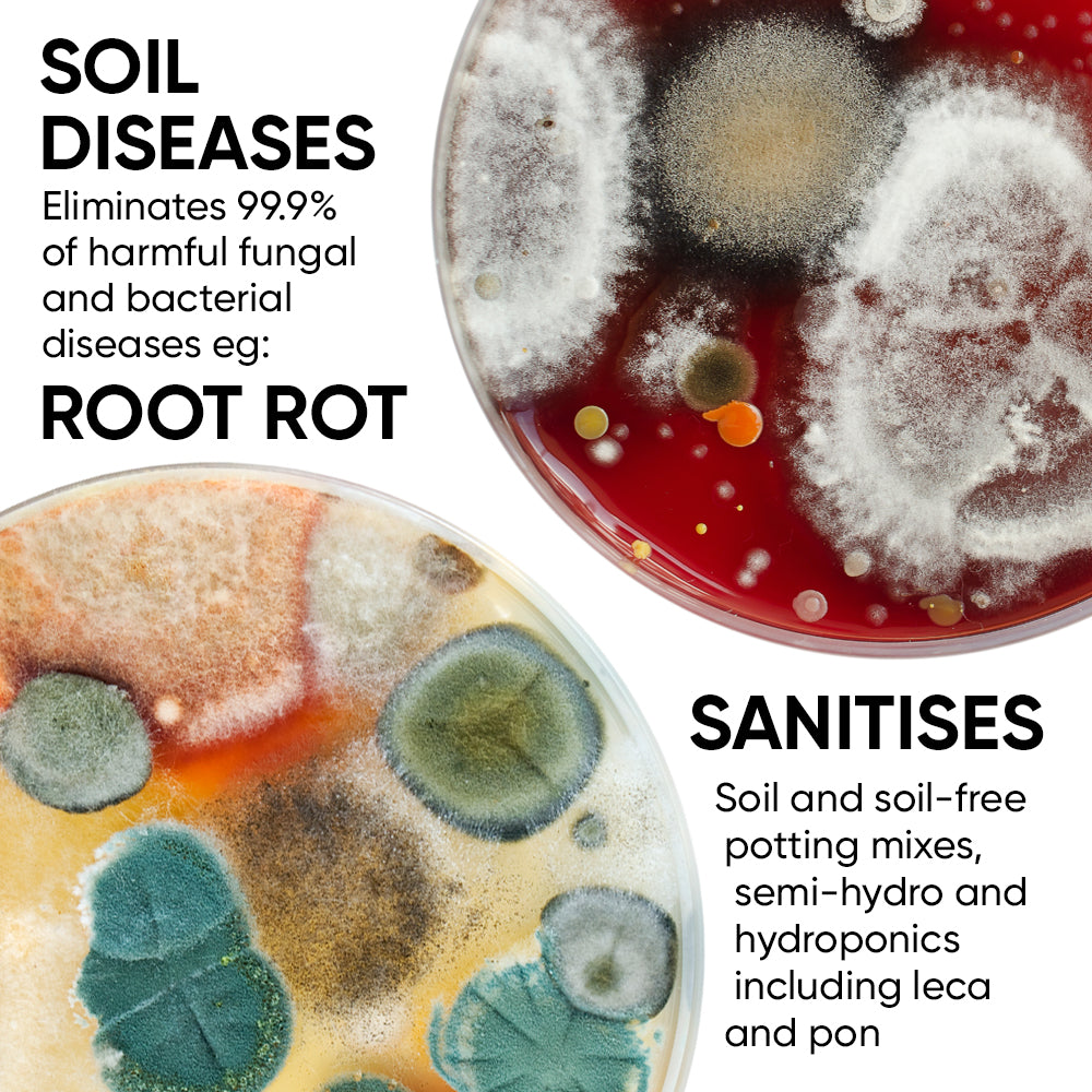 hydrogen-peroxide-root-rot-oxy-3%-growth-technology-gt