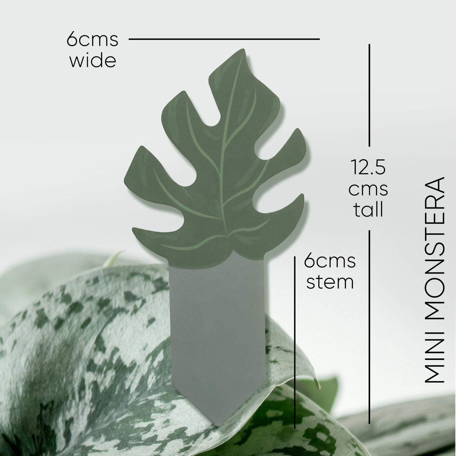 monstera moisture meter level PlantDoc Moisture Meter - Mini Monstera