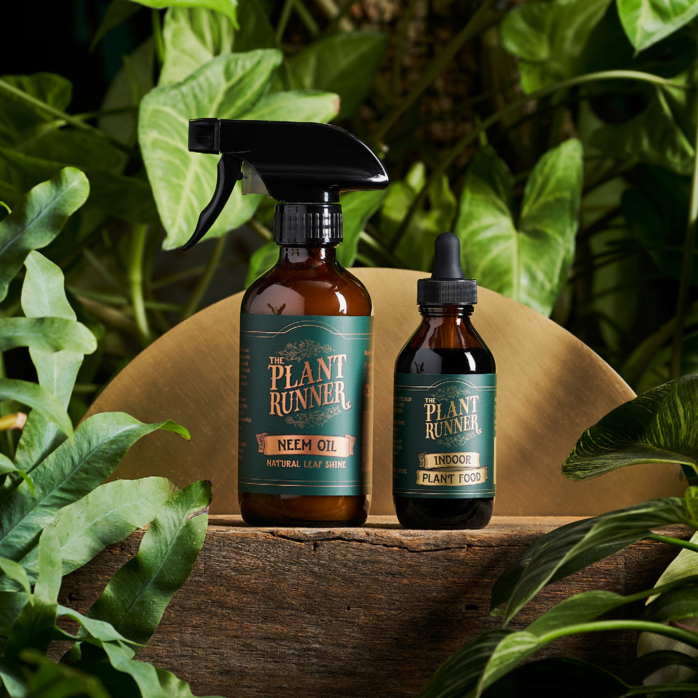 Plant Runner Gift Pack (3 products)