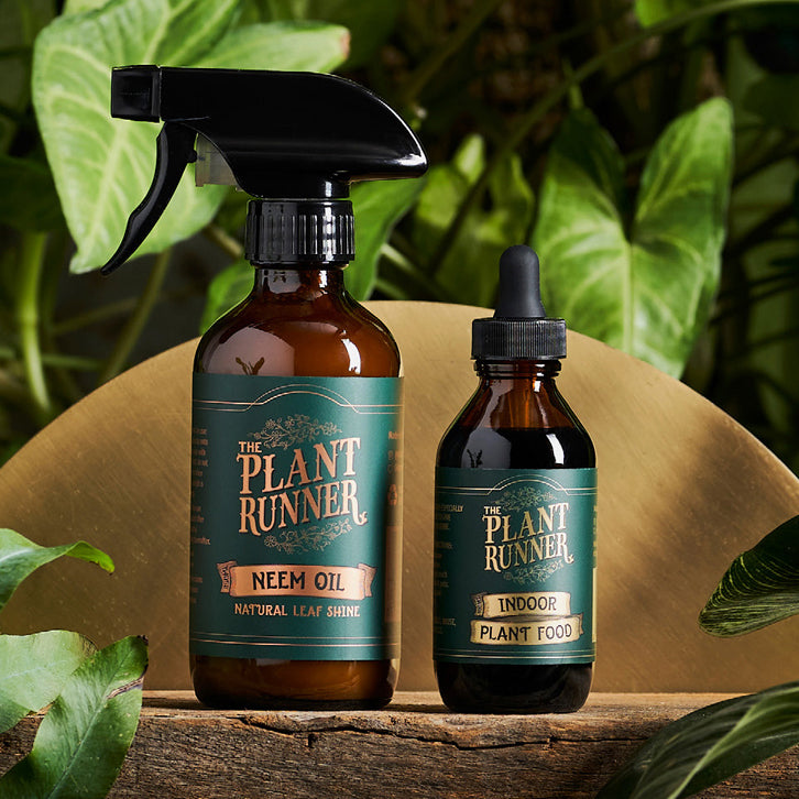 Plant Runner Besties Bundle