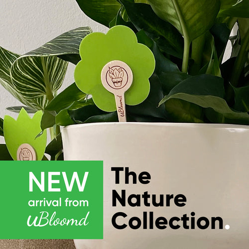 uBloomd Green Sticky Traps NATURE COLLECTION 10 Pack