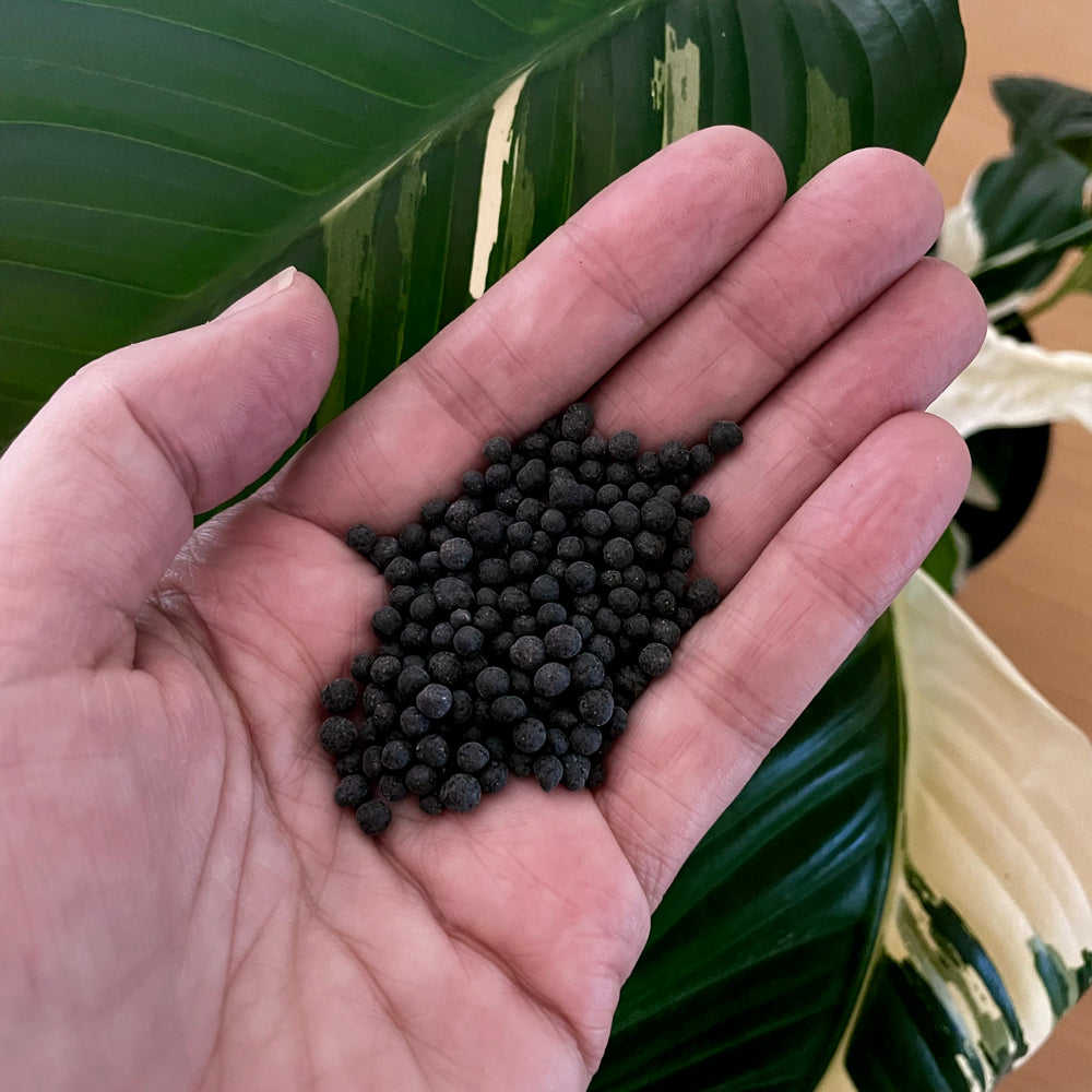 stratum potting mix Bio Leaf Stratum Active Aqua Soil