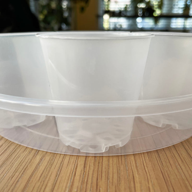Rain Clear Saucer - Extra Large 19.5cm - Best match 20cm to 23cm pots - From $2.40 each