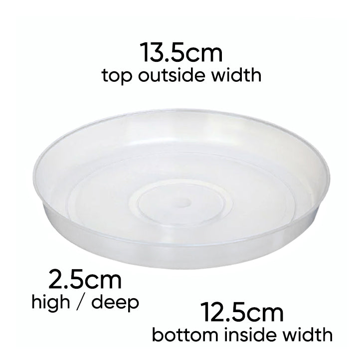 medium-size-clear-pot-saucer-translucent-measurements