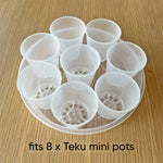 Rain Clear Saucer - Extra Large 19.5cm - Best match 20cm to 23cm pots - From $2.40 each