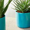 Elho Ocean Collection - 100% Recycled - Atlantic Blue - 14cm