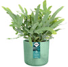 Elho Ocean Collection - 100% Recycled - Pacific Green - 22cm