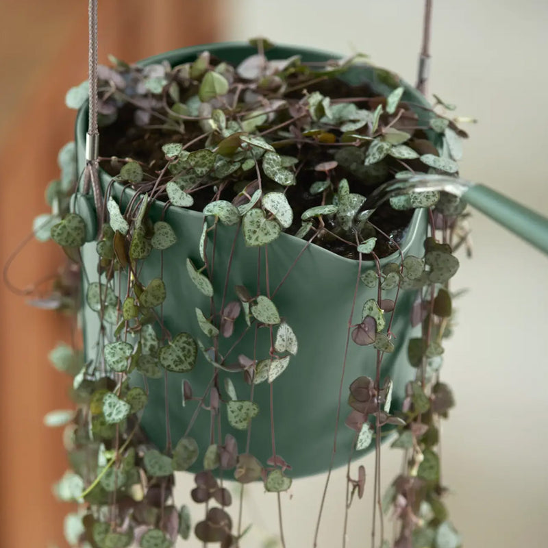 Elho Swing Stackable Hanging Pot - 100% Recycled - 18cm Greenstone